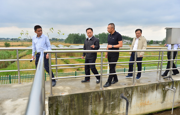 细化行动、凝聚协力，，，，，扎实推进环巢湖流域水情形综合治理——省长李国英一行调研长临河镇污水处置惩罚厂