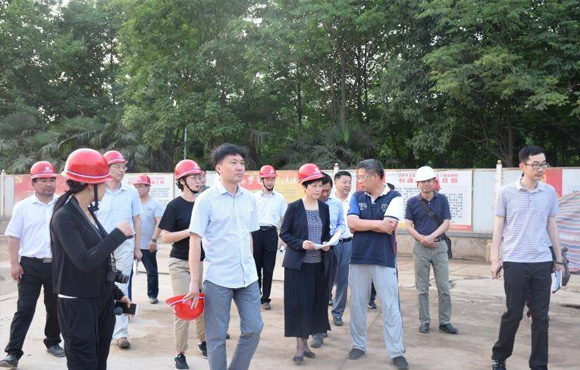 合肥市凌云市长莅临清溪项目检查指导事情