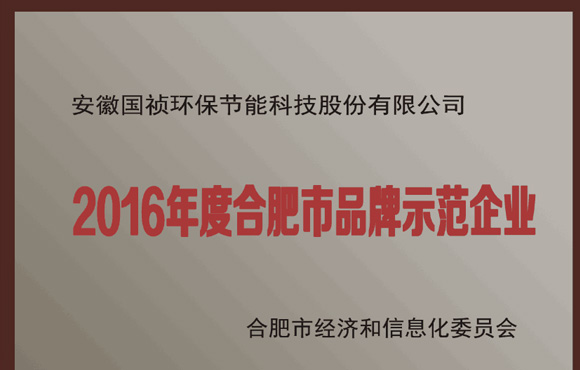 国祯环保荣获2016年度“合肥市品牌树模企业”称呼