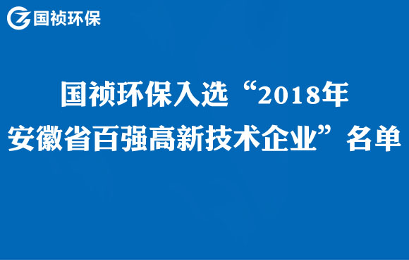 国祯环保入选“2018年安徽省百强高新手艺企业”名单