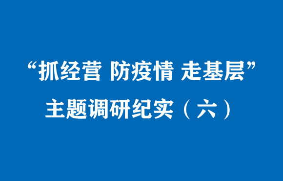 “抓谋划 防疫情? 走下层”主题调研纪实（六）