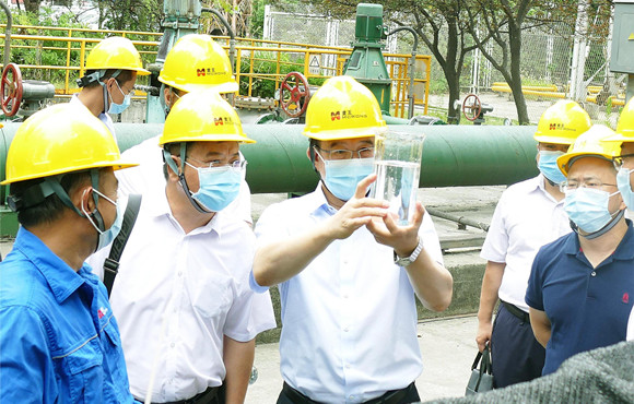 集团公司党委常委、副总司理胡乃民调研尊龙凯时麦王情形