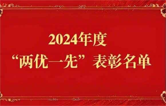 2024年度“两优一先”表扬名单出炉